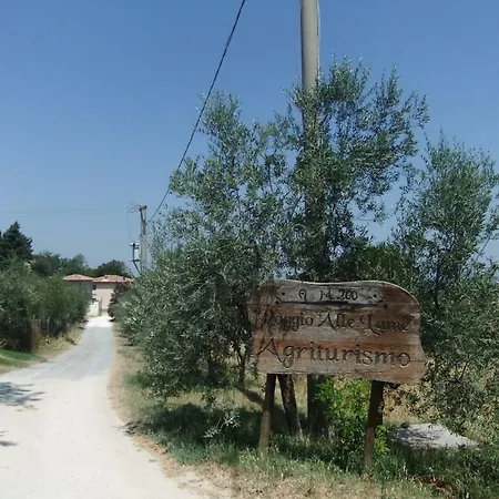 Farm stay Agriturismo Poggio Alle Lame *