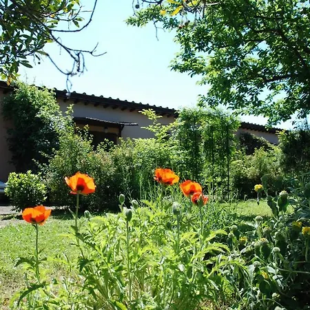 Agriturismo Poggio Alle Lame Farm stay *
