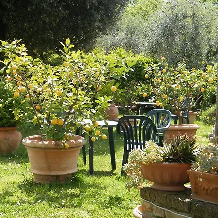 Agriturismo Poggio Alle Lame Farm stay