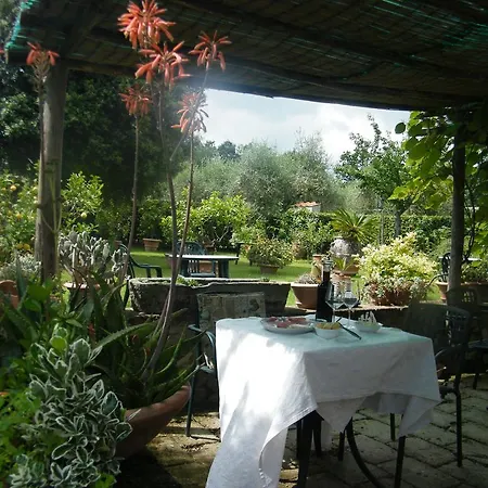 Agriturismo Poggio Alle Lame